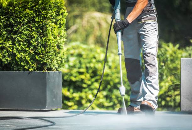 Best Animal Enclosure Cleaning  in Honey Grove, TX
